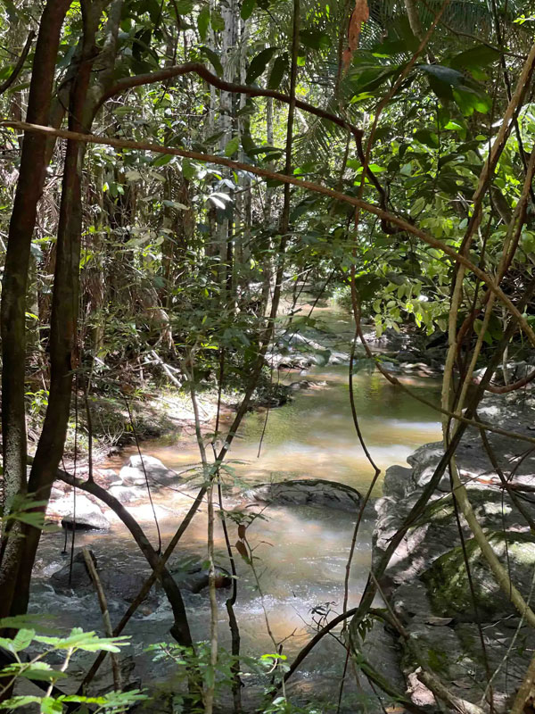 Bangalô Angico com vista para cachoeira Dhyana - Image 17
